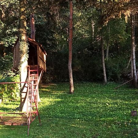 Apartman Oaza Olja Belgrado Esterno foto