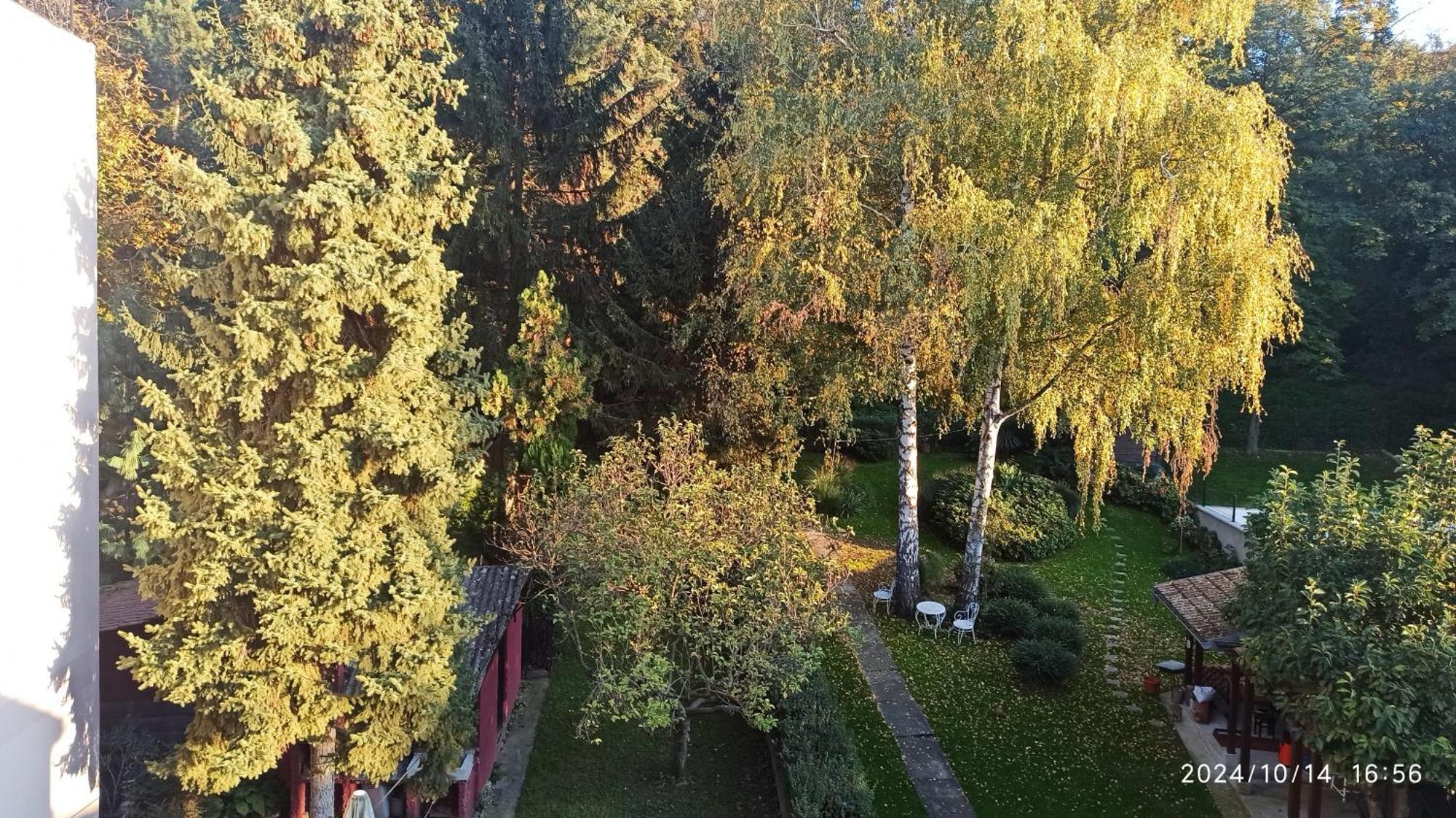 Apartman Oaza Olja Belgrado Esterno foto