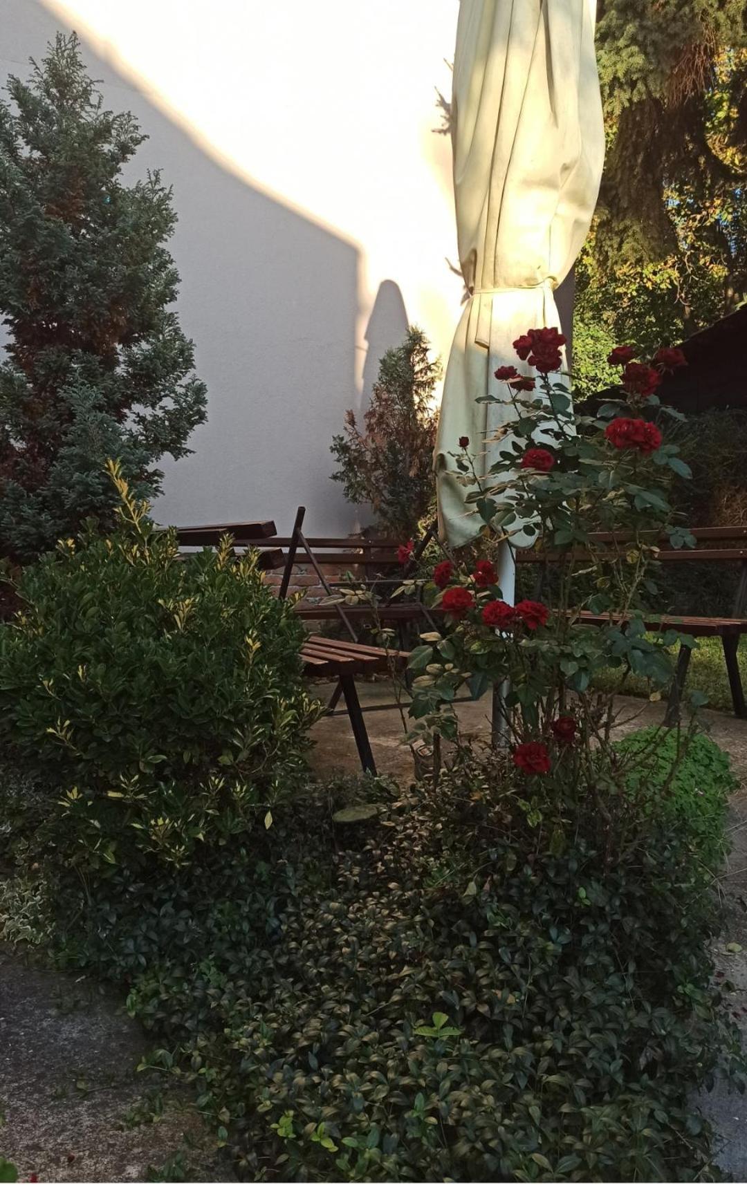 Apartman Oaza Olja Belgrado Esterno foto
